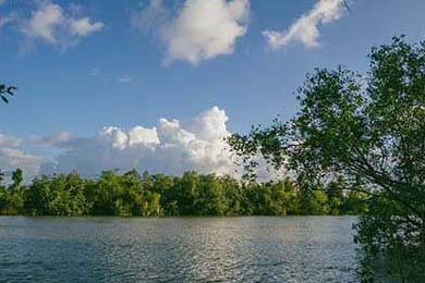 日销万斤！阳西沙扒野生藤壶肥美上市抖音网红：很多人没吃过